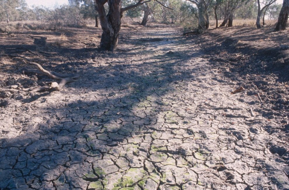 Siccità e desertificazione, dove soffre il Pianeta
