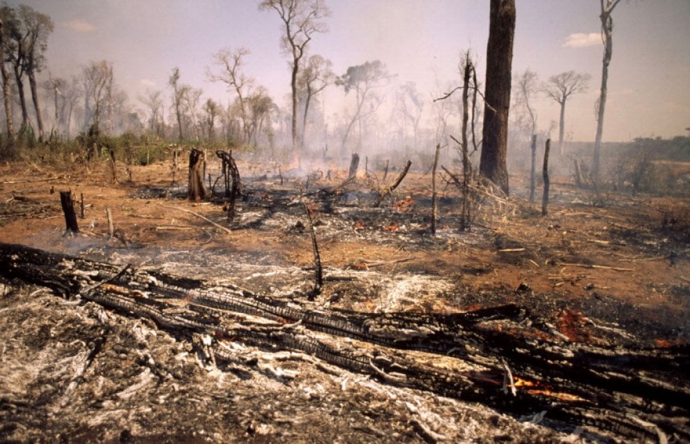 Siccità e desertificazione, dove soffre il Pianeta