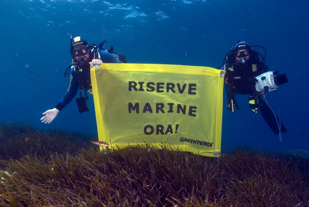 Greenpeace Italia, 30 anni di battaglie per un mondo migliore 