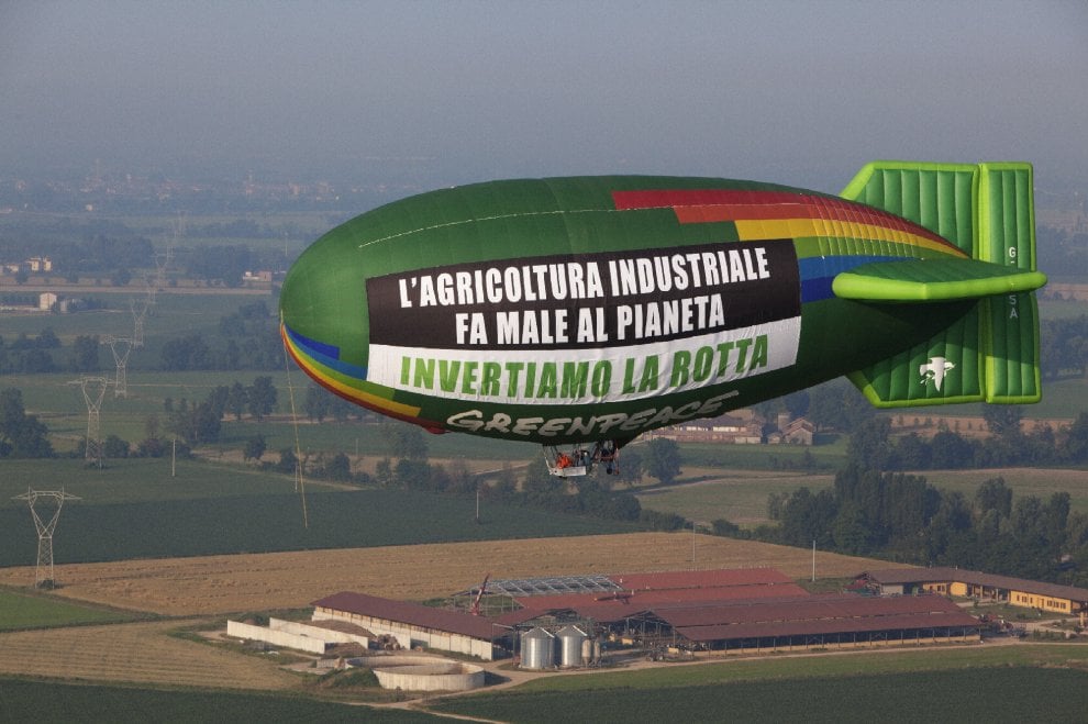 Greenpeace Italia, 30 anni di battaglie per un mondo migliore 