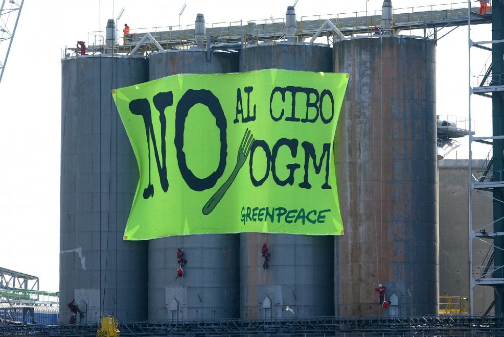 Greenpeace Italia, 30 anni di battaglie per un mondo migliore 
