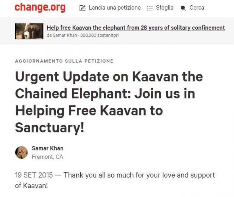 Pakistan: 'liberate' l'elefante Kaavan, 300mila firme per trasferirlo in una riserva