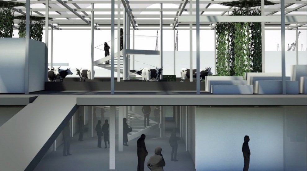 Rotterdam, il progetto della ''floating farm''