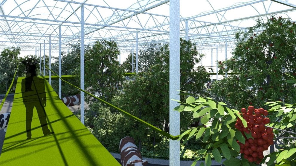 Rotterdam, il progetto della ''floating farm''