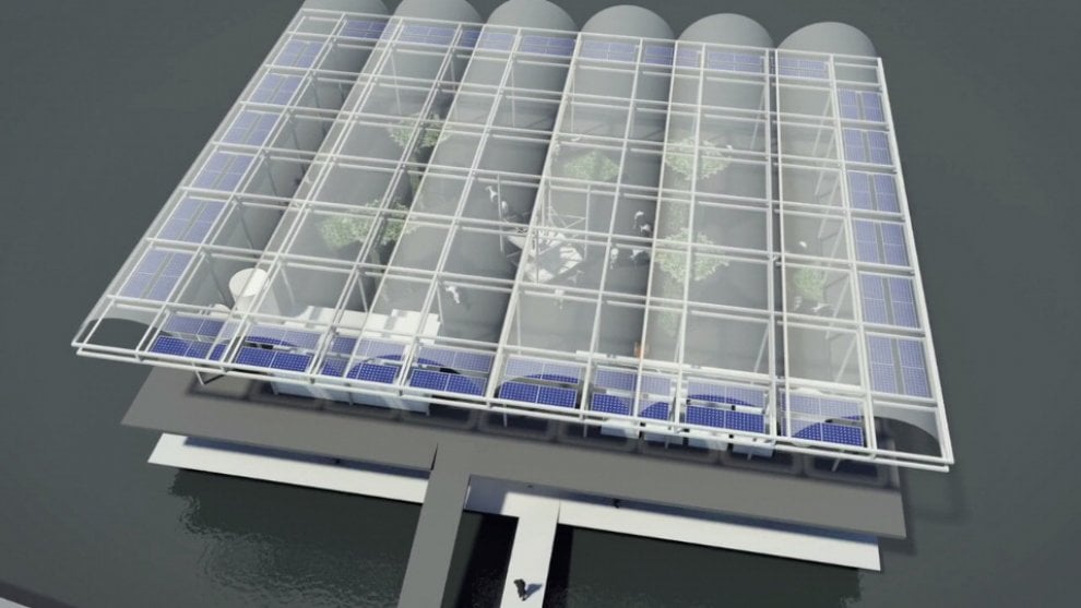 Rotterdam, il progetto della ''floating farm''