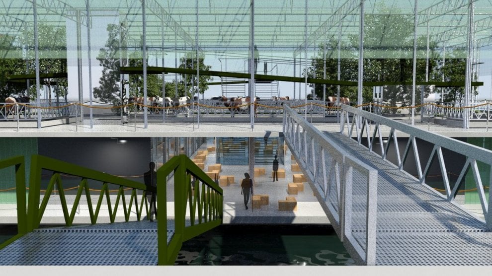 Rotterdam, il progetto della ''floating farm''