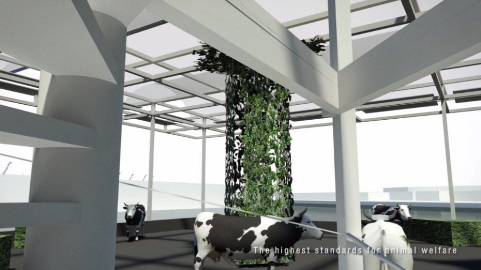 Rotterdam, il progetto della ''floating farm''