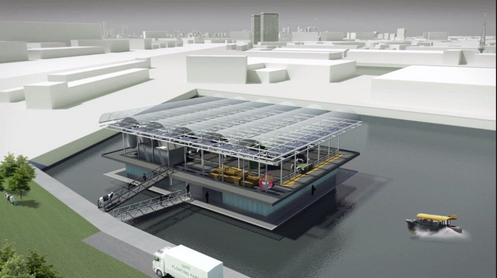 Rotterdam, il progetto della ''floating farm''