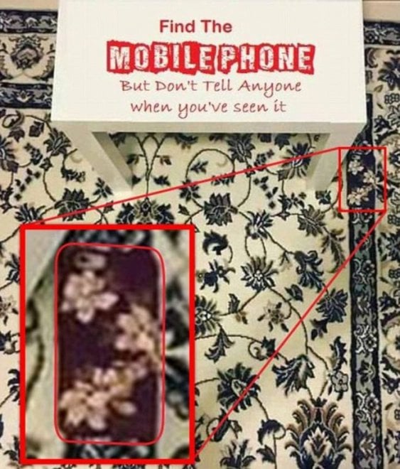 Dov'è il cellulare? La foto virale che fa impazzire il web