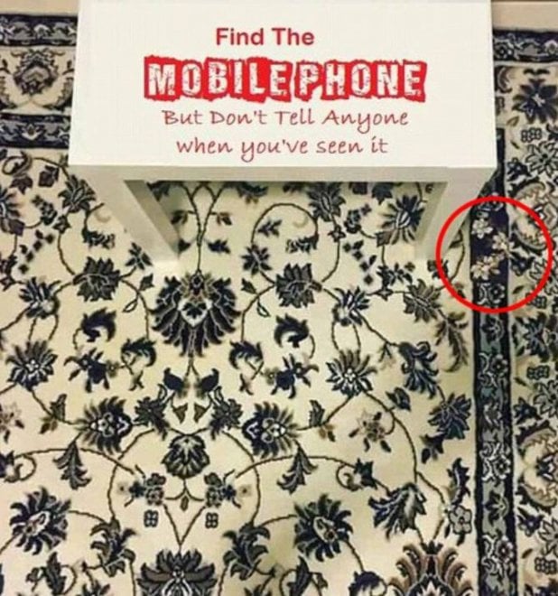 Dov'è il cellulare? La foto virale che fa impazzire il web