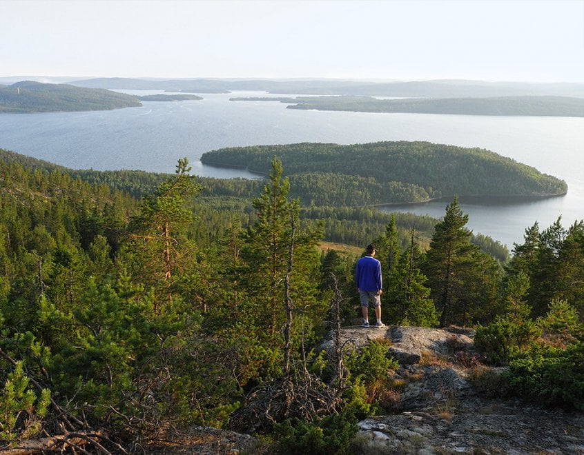Svezia, la foresta che cresce