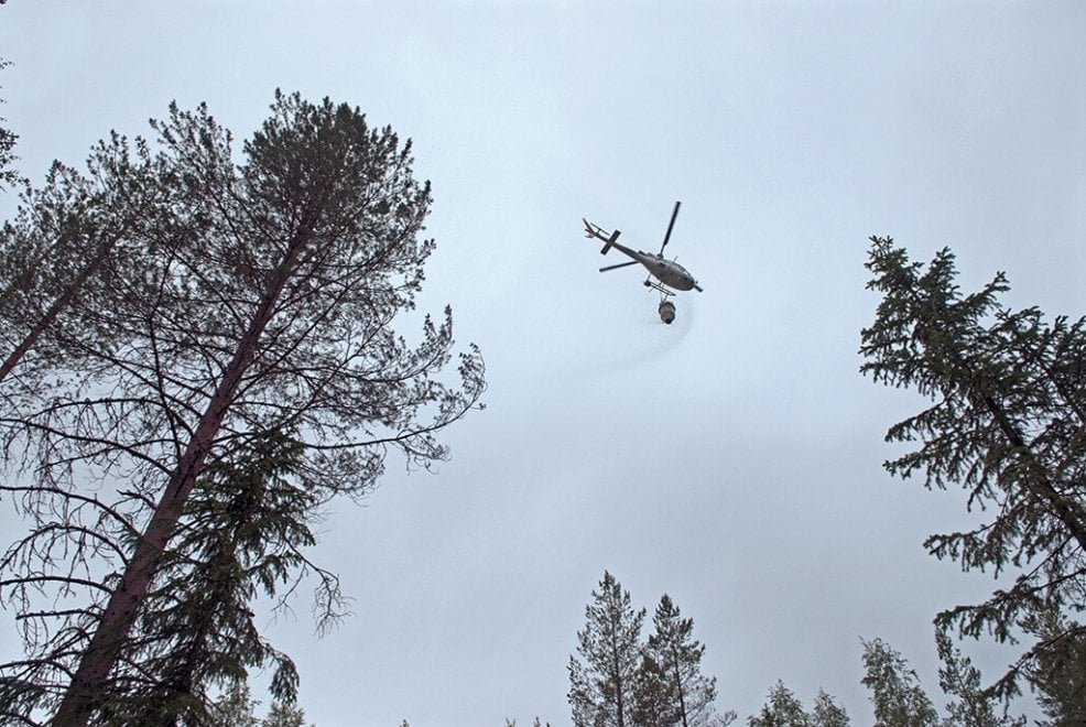 Svezia, la foresta che cresce