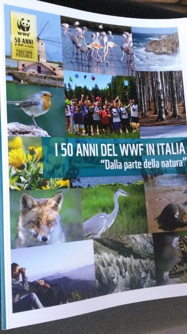 Mattarella riceve il WWF per i 50 anni del Panda