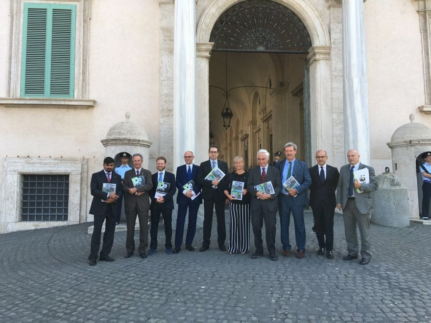 Mattarella riceve il WWF per i 50 anni del Panda