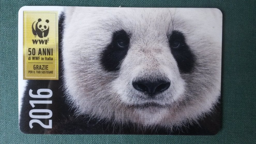 Mattarella riceve il WWF per i 50 anni del Panda