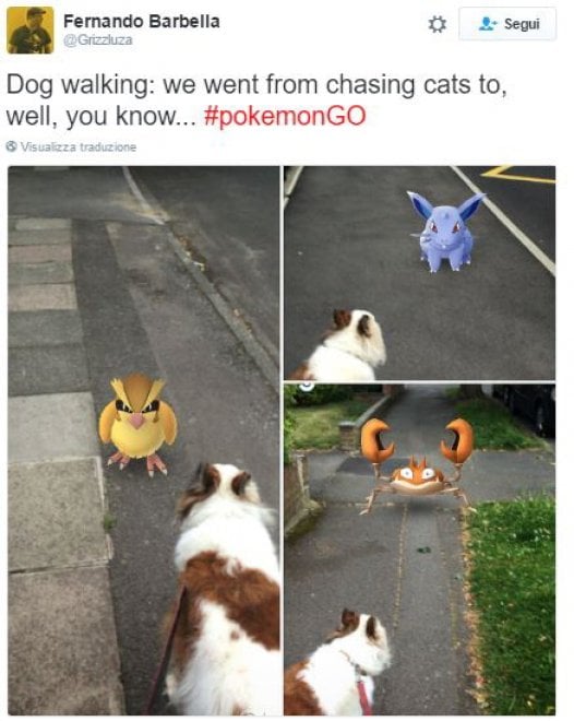 La leggenda dei giapponesi: i gatti e i cani possono vedere i Pokémon