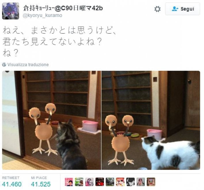 La leggenda dei giapponesi: i gatti e i cani possono vedere i Pokémon