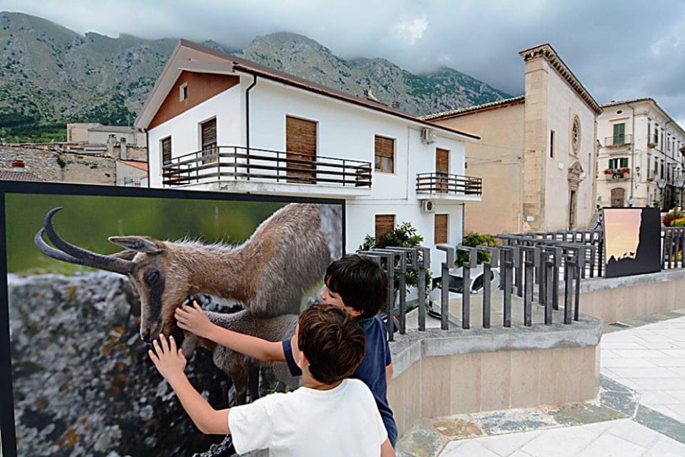 I camosci riconquistano le vette