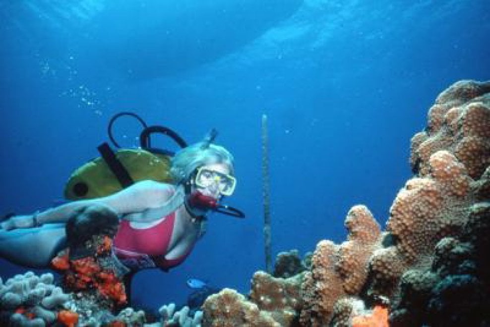Passione subacquea, 10 regole per immersioni sicure