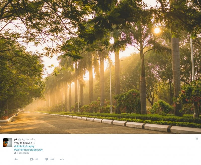 World photo day, su Twitter i mille volti della fotografia