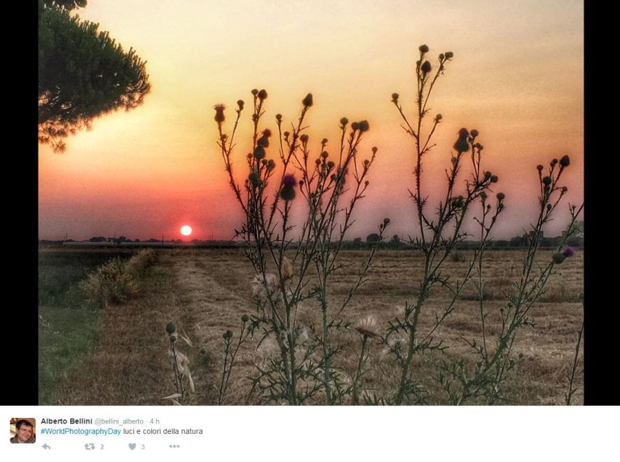 World photo day, su Twitter i mille volti della fotografia