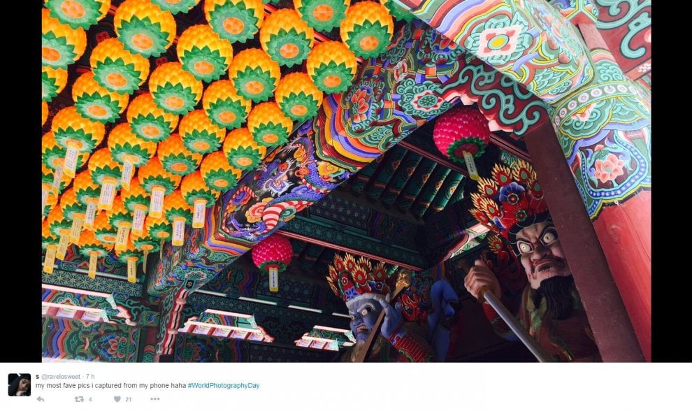 World photo day, su Twitter i mille volti della fotografia