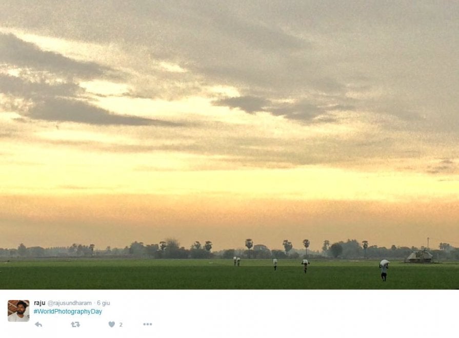 World photo day, su Twitter i mille volti della fotografia
