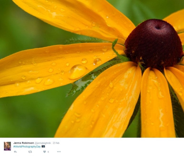 World photo day, su Twitter i mille volti della fotografia
