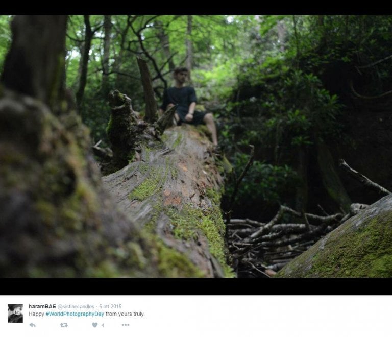 World photo day, su Twitter i mille volti della fotografia