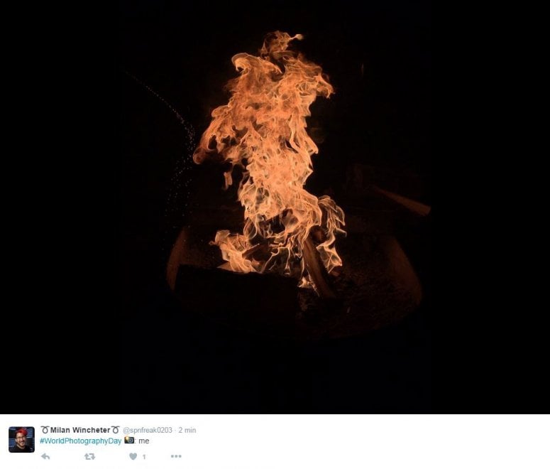 World photo day, su Twitter i mille volti della fotografia