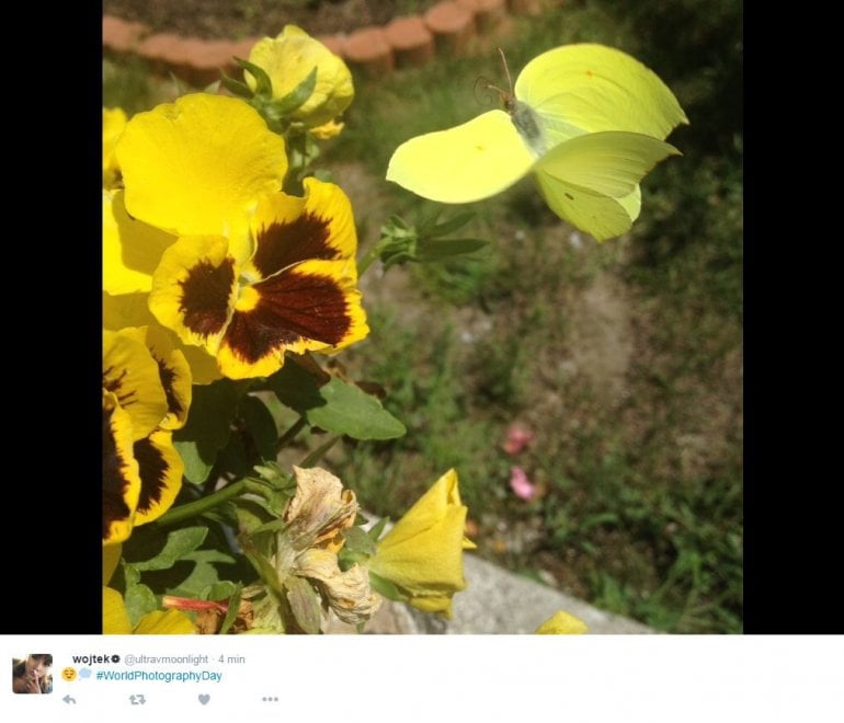 World photo day, su Twitter i mille volti della fotografia
