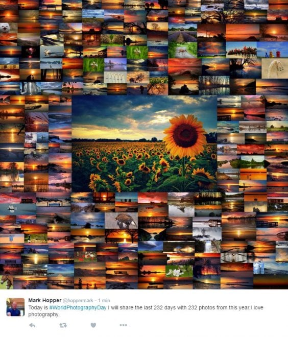 World photo day, su Twitter i mille volti della fotografia