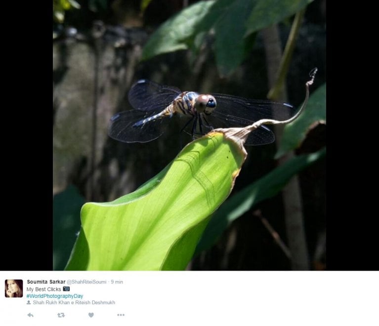 World photo day, su Twitter i mille volti della fotografia