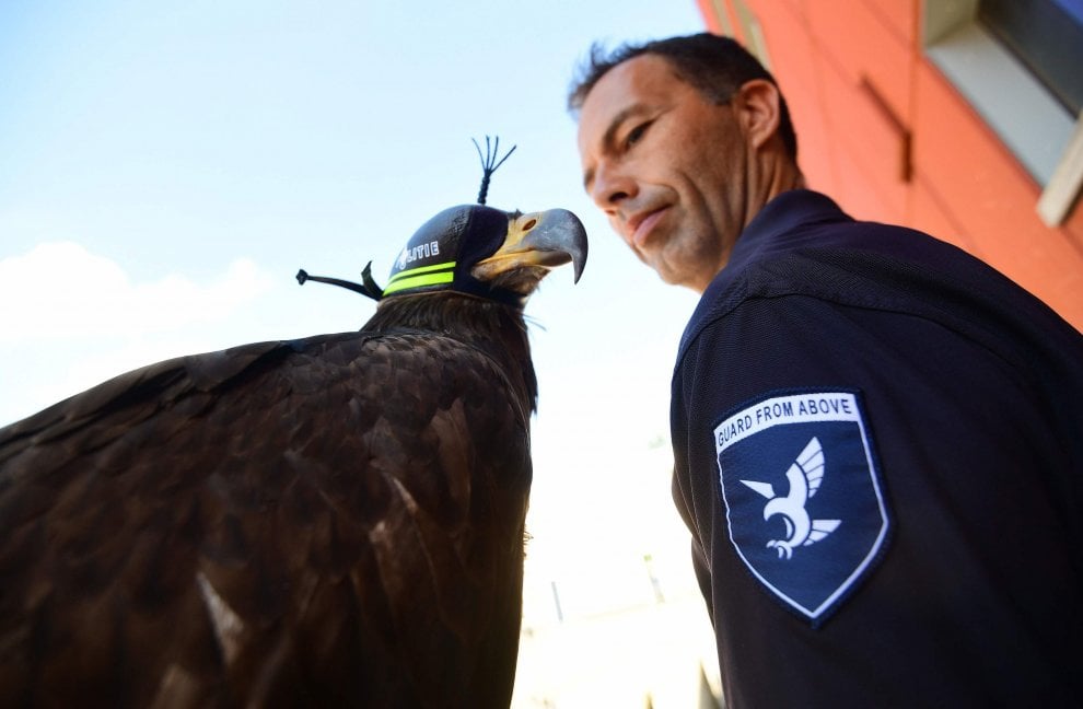 Olanda, la polizia usa aquile contro i droni illegali