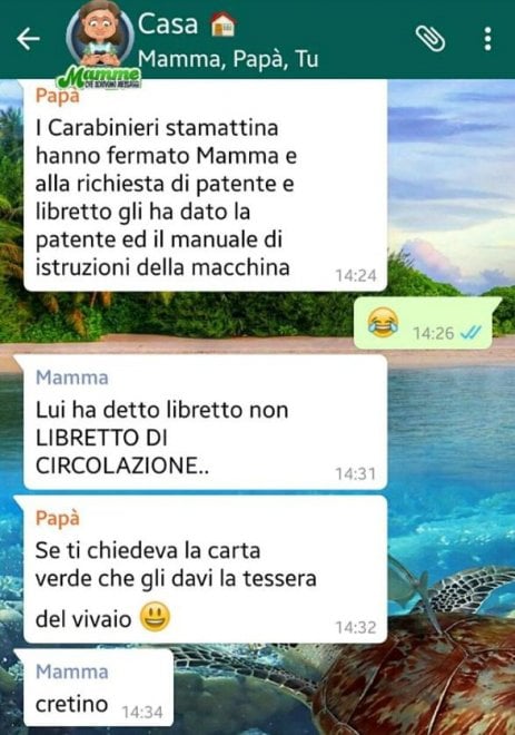 Che disastro i messaggi delle mamme su WhatsApp