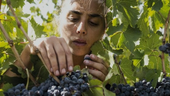 Arianna Occhipinti: "In un vigneto ho trovato la felicità"