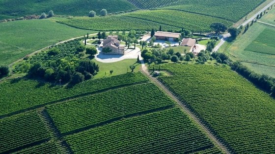 La Tenuta di Tavignano, a Cingoli (Mc)