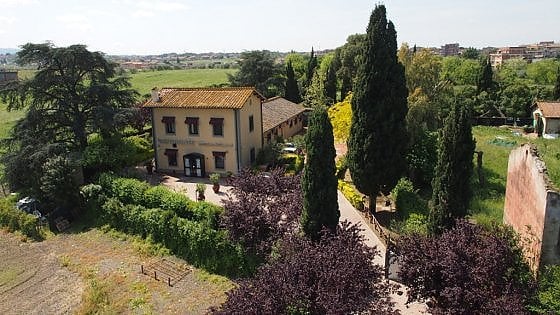 Roma a tavola: un trionfo di pesce nel casale di campagna