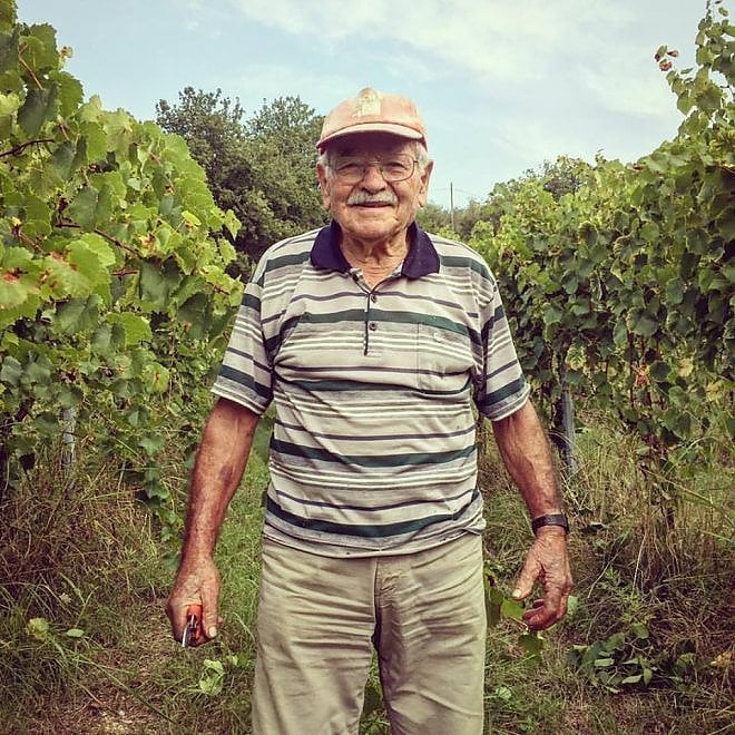 Che bella la vendemmia nelle immagini dei vignaioli