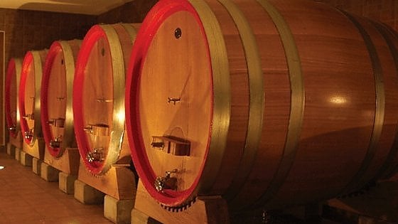 La cantina di Korenika &amp; Moskon