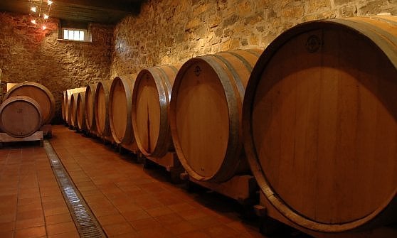 La bottaia dell'azienda Specogna (dal sito)