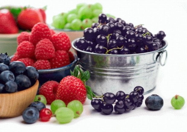 Surgelati e congelati, quello che c'è da sapere