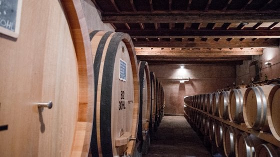 La cantina del Castello di Nipozzano (dal sito dell'azienda)