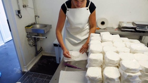Al lavoro in un'azienda casearia