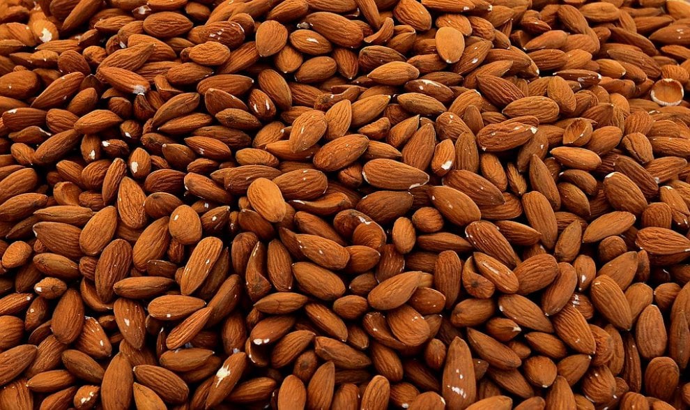 I cibi che frenano l’appetito