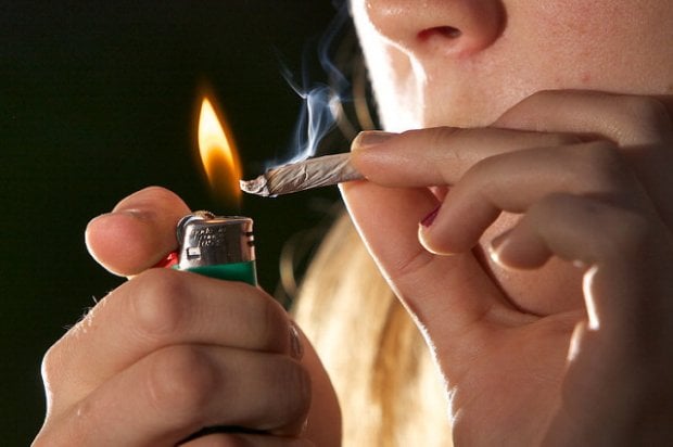 Cannabis, rischi e benefici