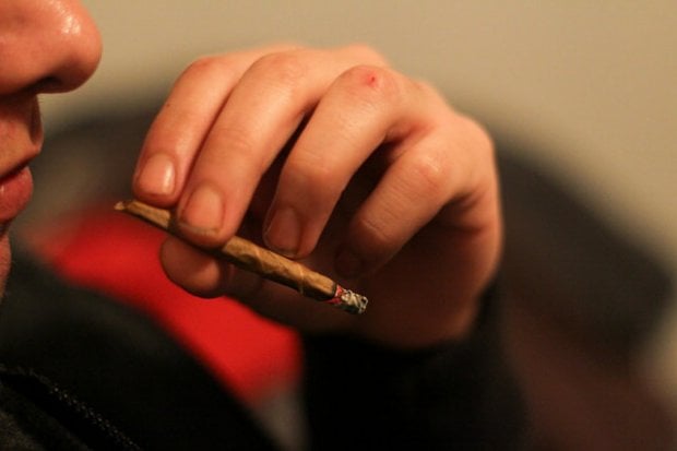 Cannabis, rischi e benefici