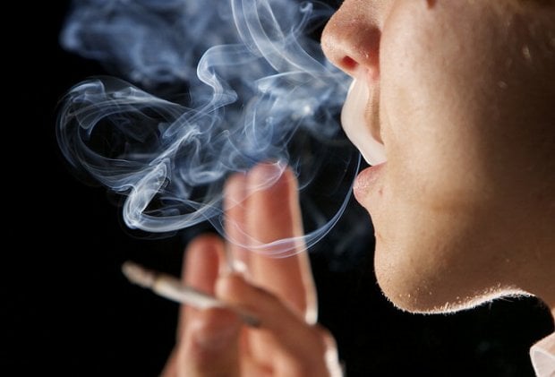 Cannabis, rischi e benefici