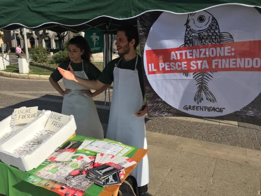 Eco-Natale, da Greenpeace i consigli per festività green