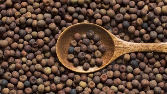 La piccola roveja, orgoglio poco noto dell'Umbria